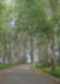 Tony Knowles Coastal Trail