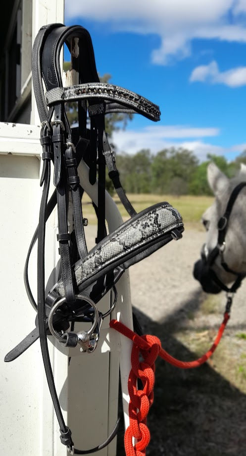 Thumbnail: Medusa Snakeskin Saddle Pad Dressage