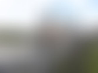 3 grey horses looking over a fence