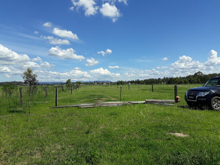 Pros and Cons of Paddock Design - Traditional, Equicentral, Paddock Paradise