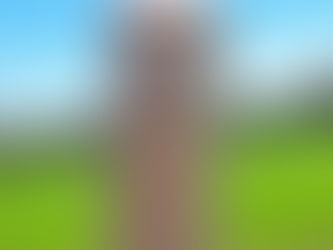 Topical Treatments for Stinky Hooves