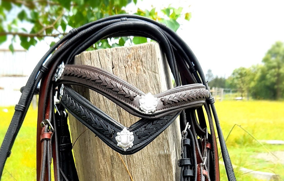 Braided Leather Browband with Silver Crests