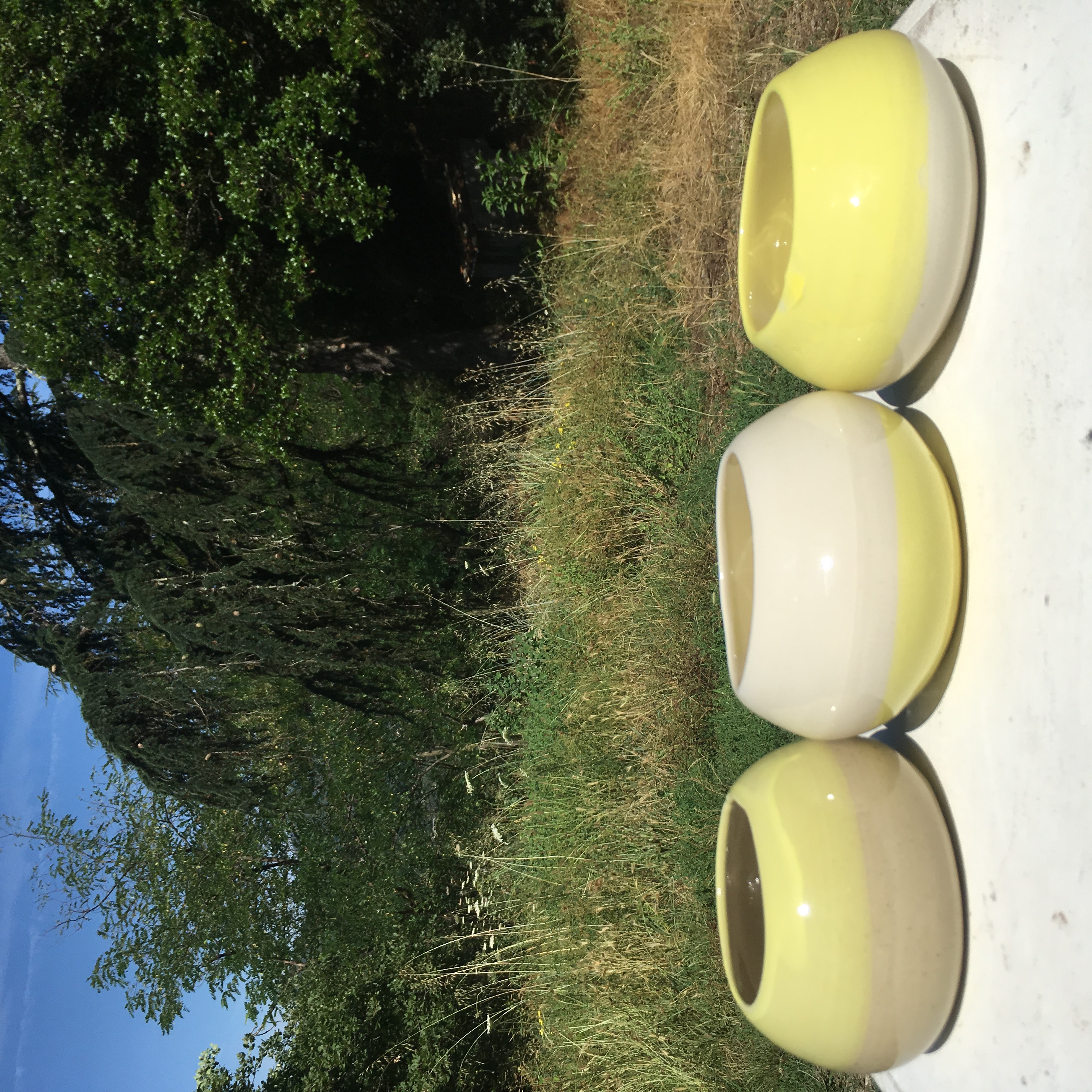 planters jaune