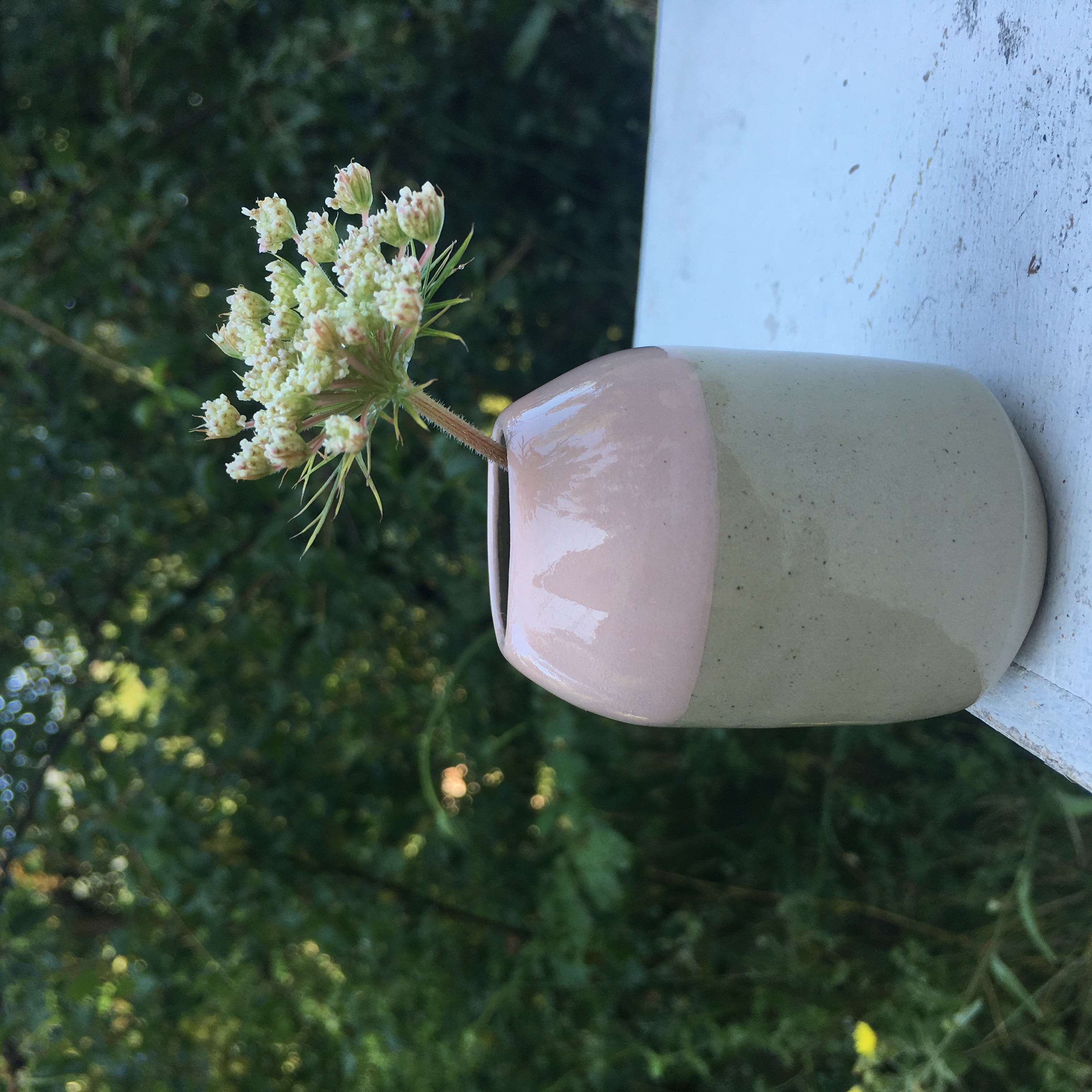 mini vase rose