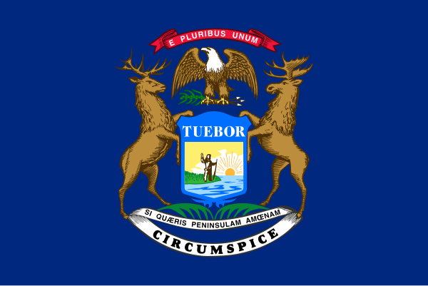 Flagge Michigan