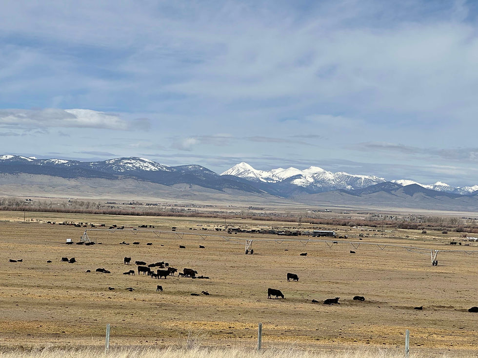 Montana das weite Land
