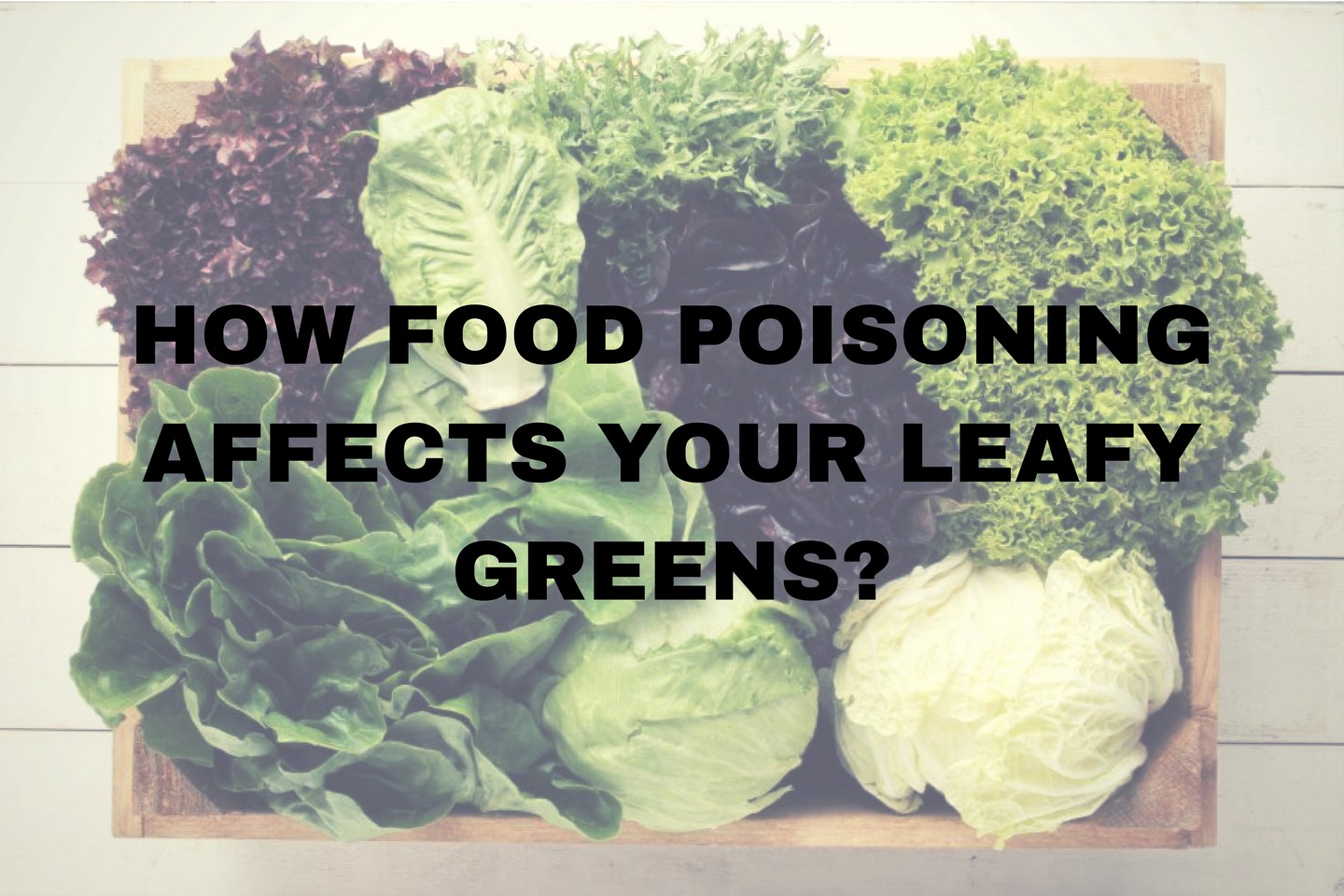 How Food Poisoning Affects Your Leafy Greens?