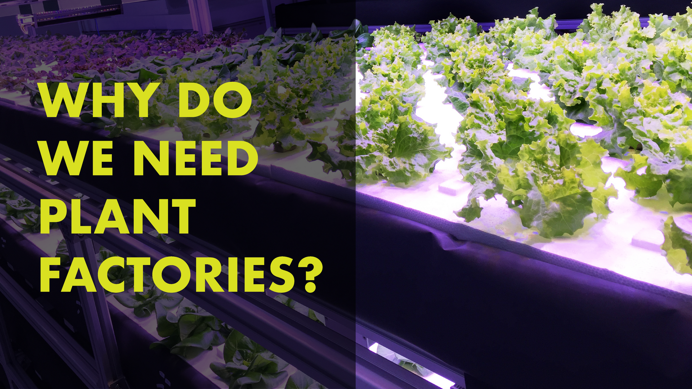 Why Do We Need Plant Factories?