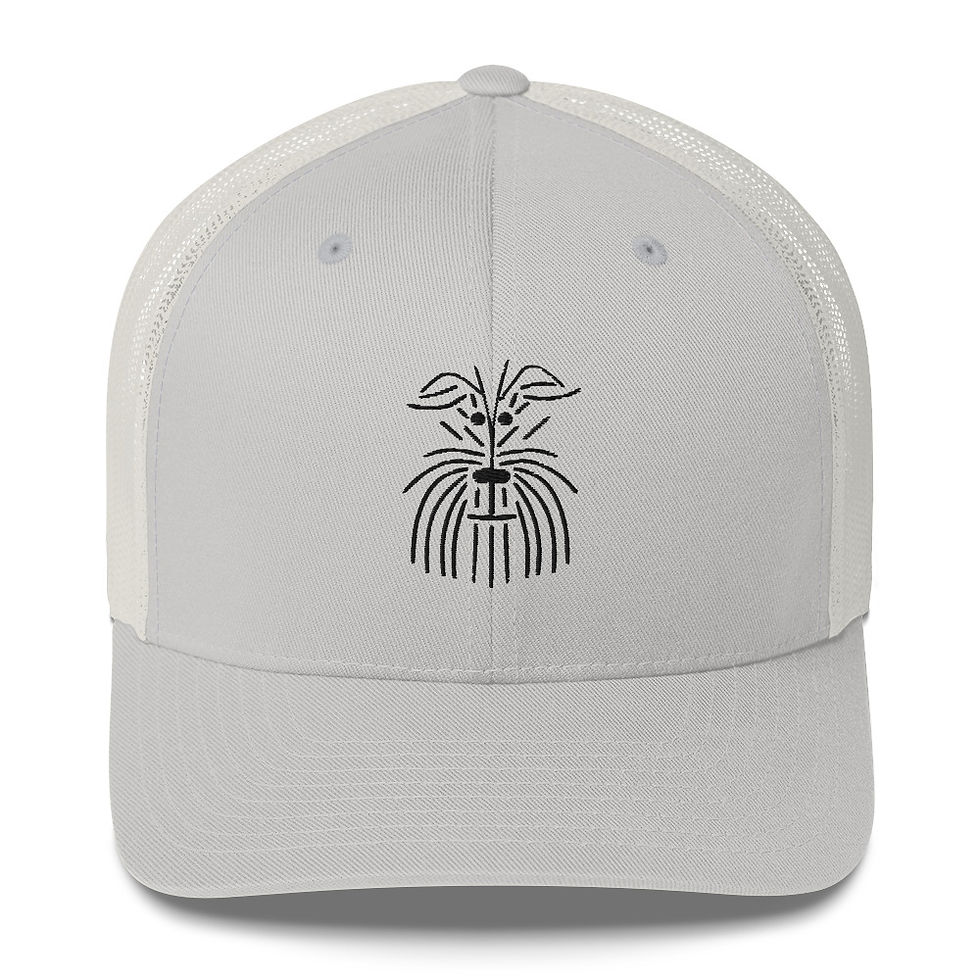 Miniatura: Gorra tipo trucker 