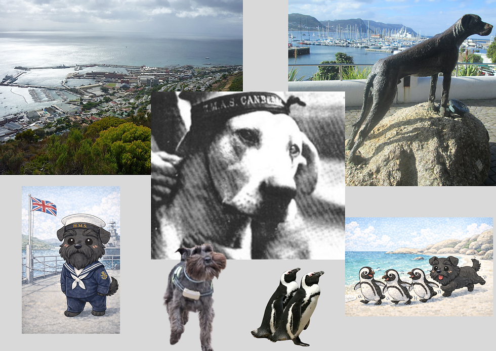 Episodio 16: de barcos, uniformes y una “molestia” con rango oficial