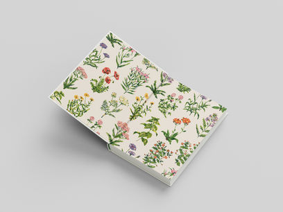 The endpages of a book. The pages are decorated with colourful wild flowers
