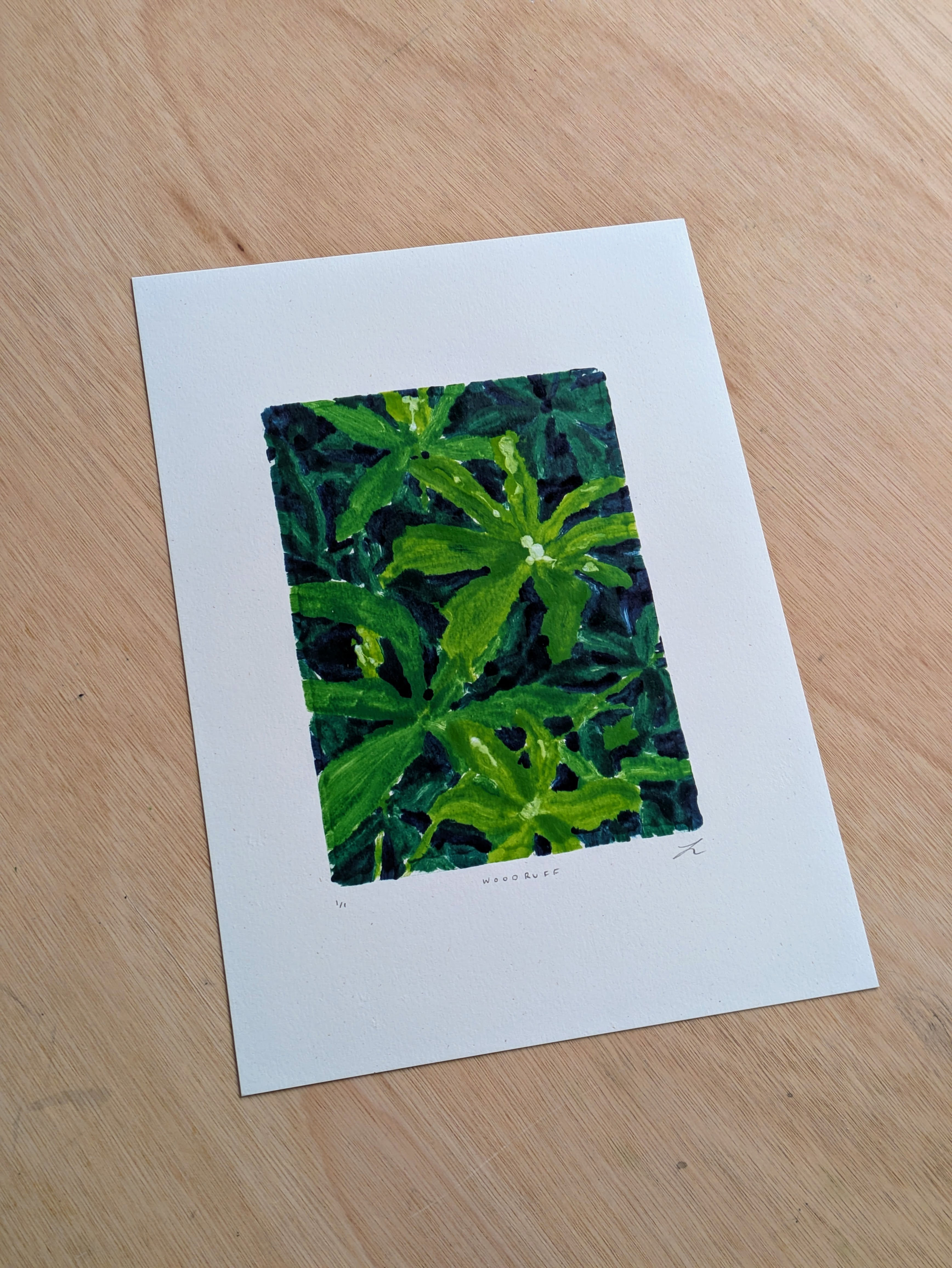 Sweet Woodruff / original monoprint