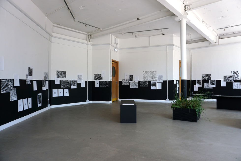 The exhibition of the project 'a piece of turf'. The exhibition features original drawings and text hung around a room which is divided in half by a black band running all the way around. The work is hung in clusters, with some pieces overlapping or combined in unusual ways.