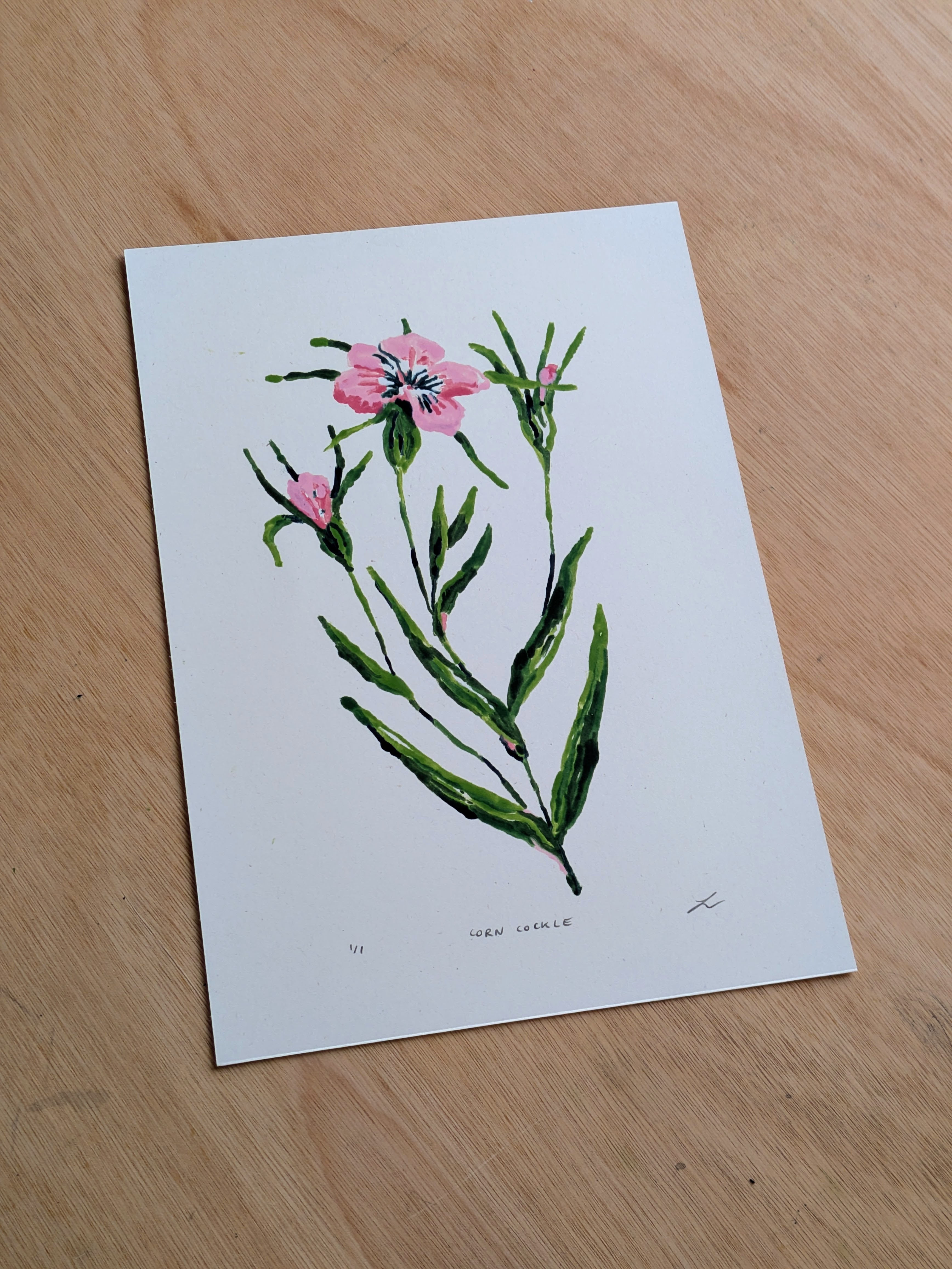 Corncockle 1 / Wildflower monoprint