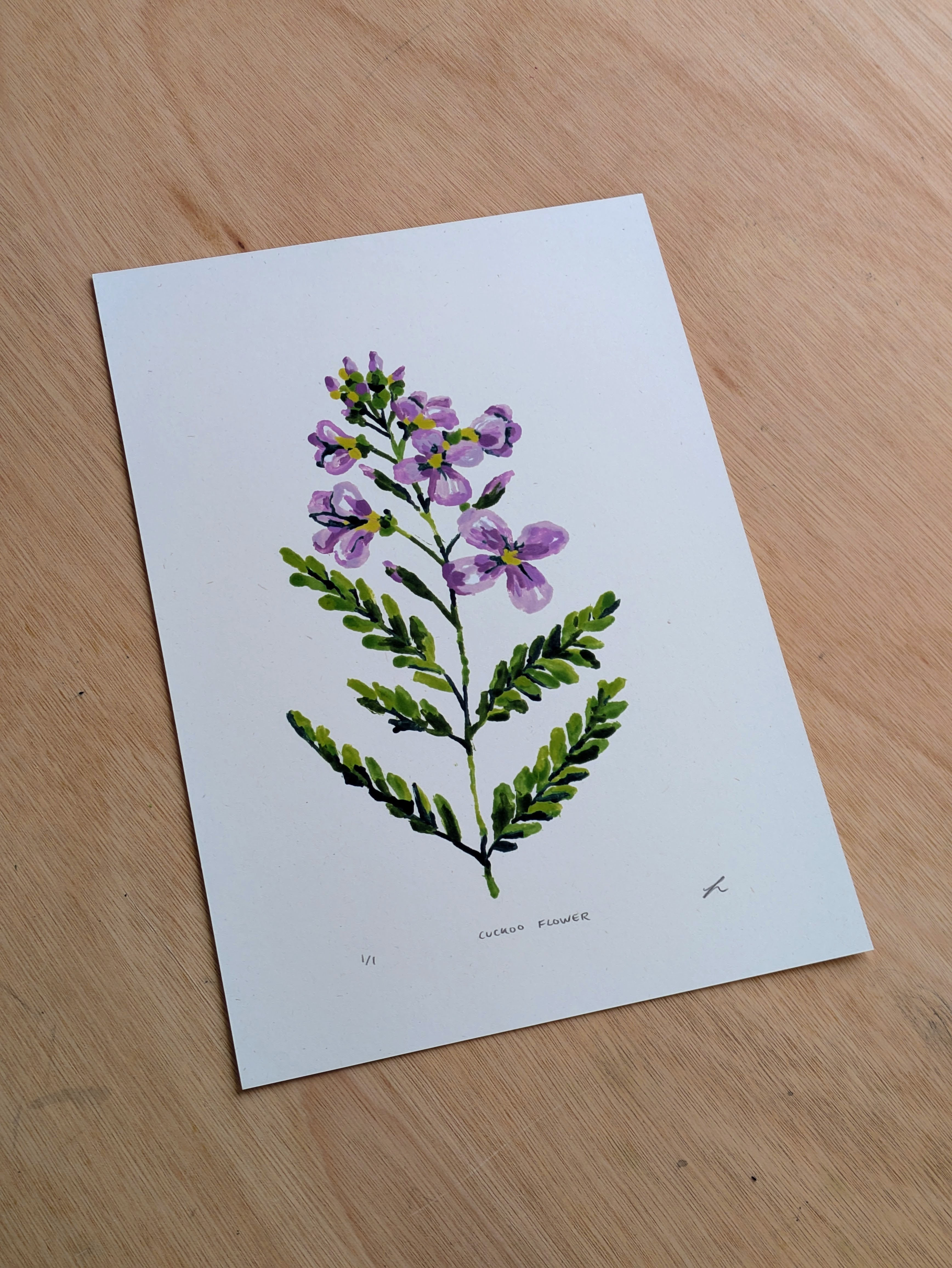 Cuckoo Flower 2 / Wildflower monoprint