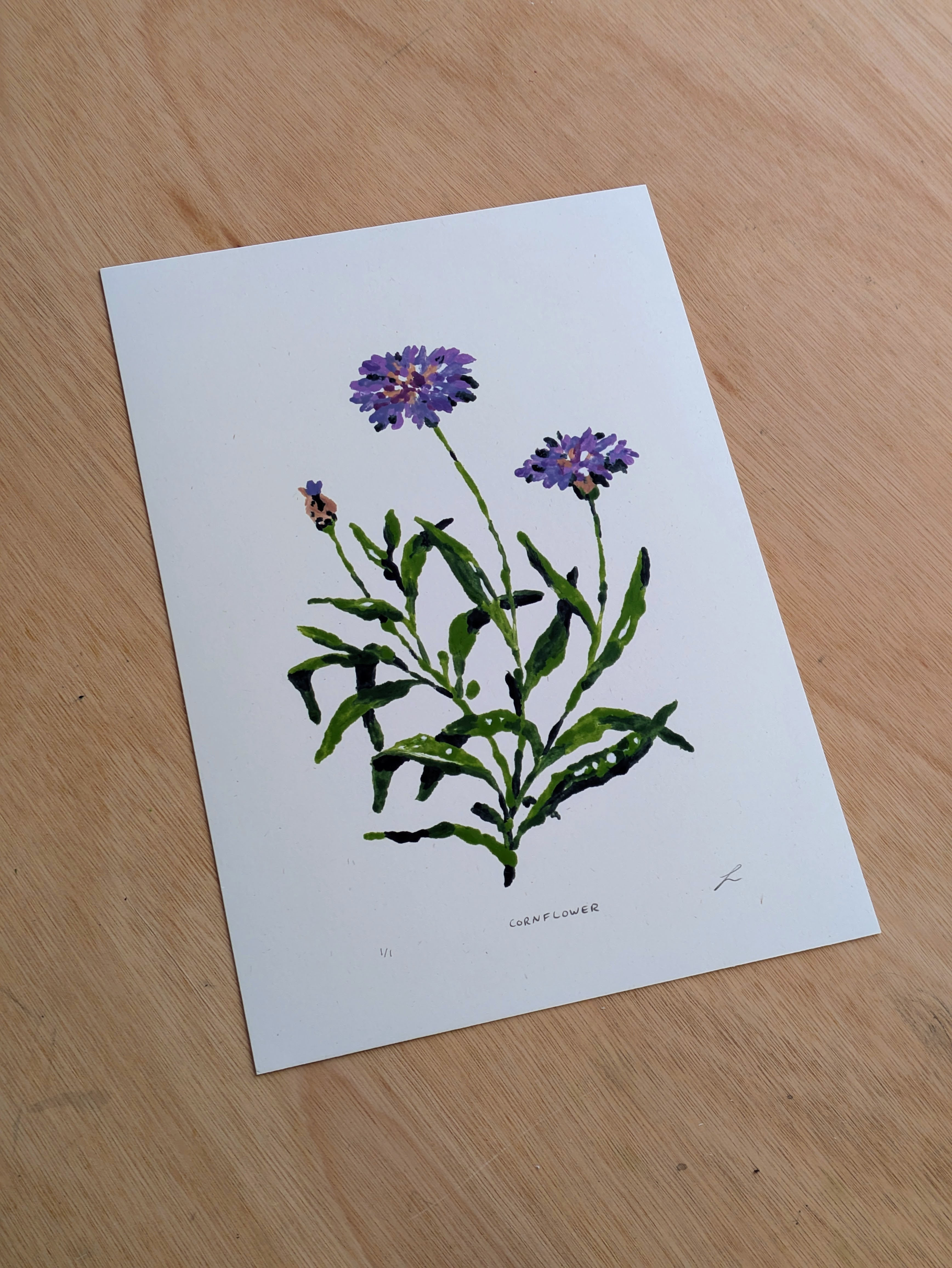 Cornflower 2 / Wildflower monoprint