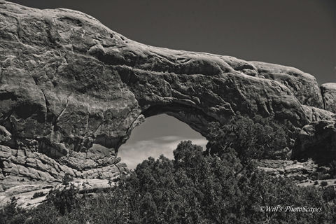 North Window B&W.jpg