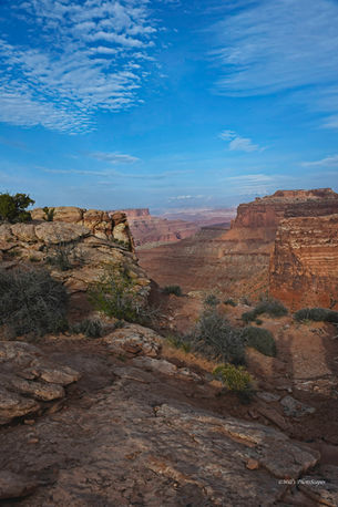 Eyes of the World.jpg