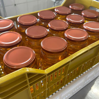 WhatsApp Image 2023-07-31 at 15.02.27 (2).jpeg