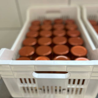 WhatsApp Image 2023-07-31 at 15.02.27 (1).jpeg