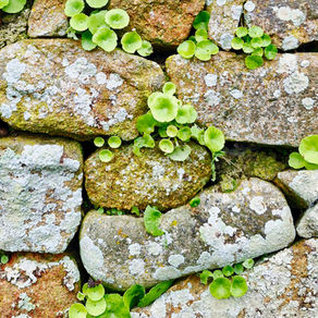 床に横たわる父の人体力学