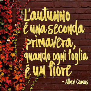 Frase sull'autunno di Albert Camus - Frasi sui muri
