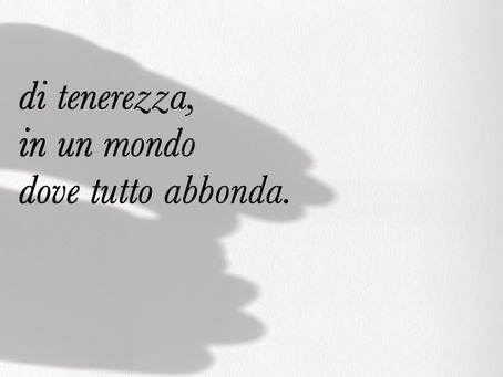 Abbiamo fame di tenerezza in un mondo dove tutto abbonda - Frasi in esergo