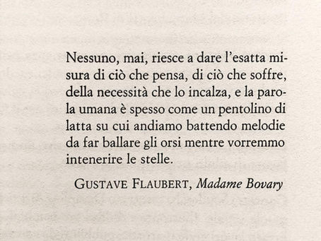 "Nessuno, mai, riesce a dare l'esatta misura di ciò che pensa..." di Flaubert - Frasi in esergo