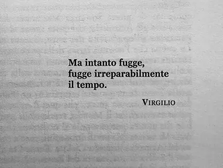 Frase di Virgilio che ricorda la caducità della vita - Frasi in esergo