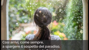 "Primavera" Poesia di Patrizia Cavalli - Frasi illustrate