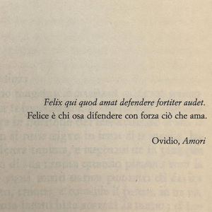 Frase di Ovidio sulla felicità: "Felice è chi osa difendere con forza ciò che ama" - Frasi in esergo