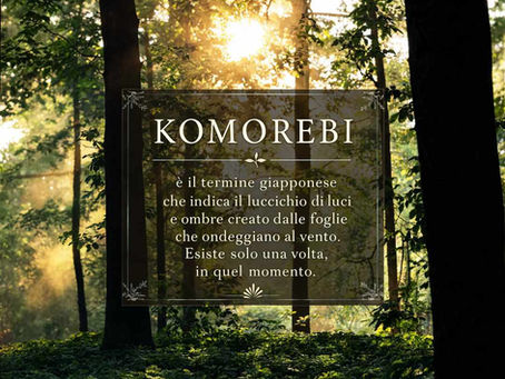 Significato di "Komorebi" - Frase finale Perfect Days