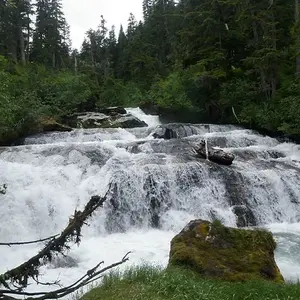 Creek Falls