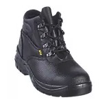 steel toe1.jpg