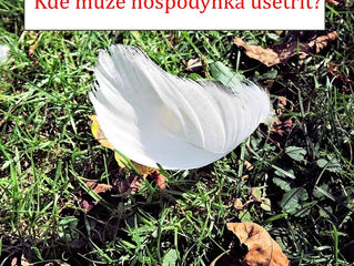 Správná hospodyňka pro pírko přes plot skočí a co dál?