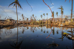 miss universe, binibining pilipinas