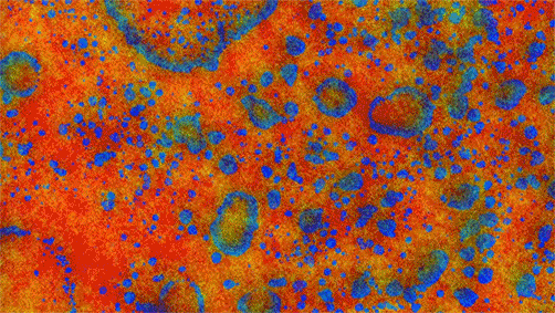 orange-blast.gif