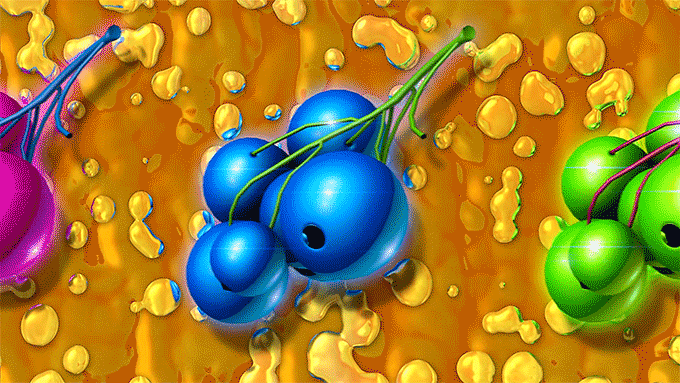 spinning-fruit.gif