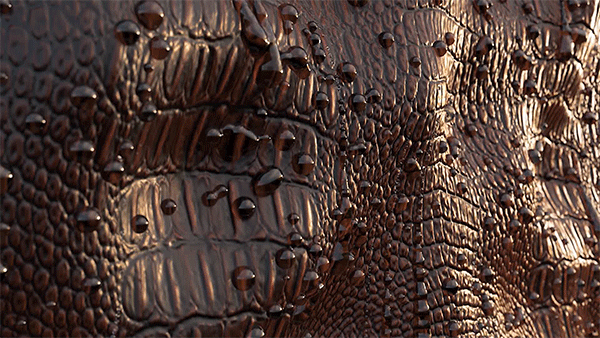 croc-skin.gif