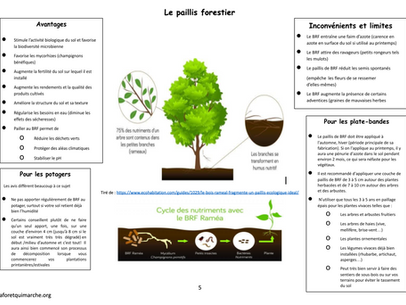Nouveau : le paillis forestier de La forêt qui marche!