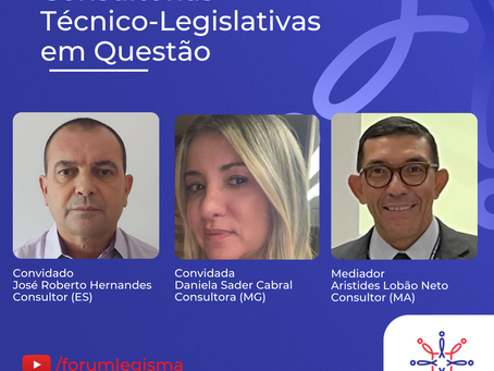 Consultorias Técnico-Legislativas em Questão: Atribuições e Processos