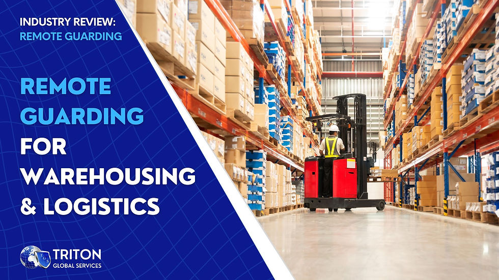 remote guarding for warehouses