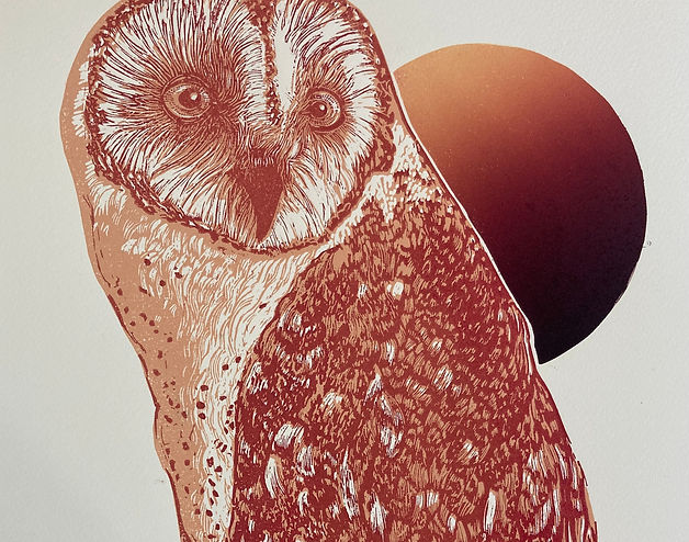rediowl_edited.jpg