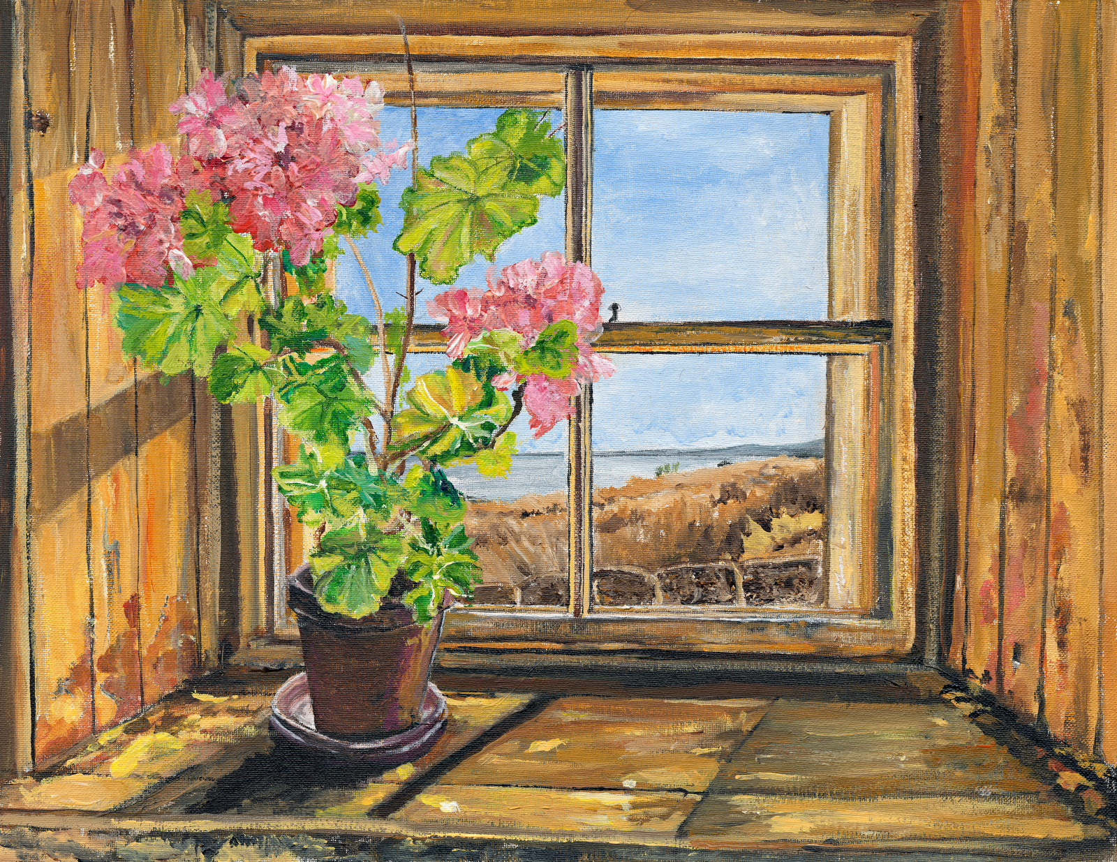Geraniums