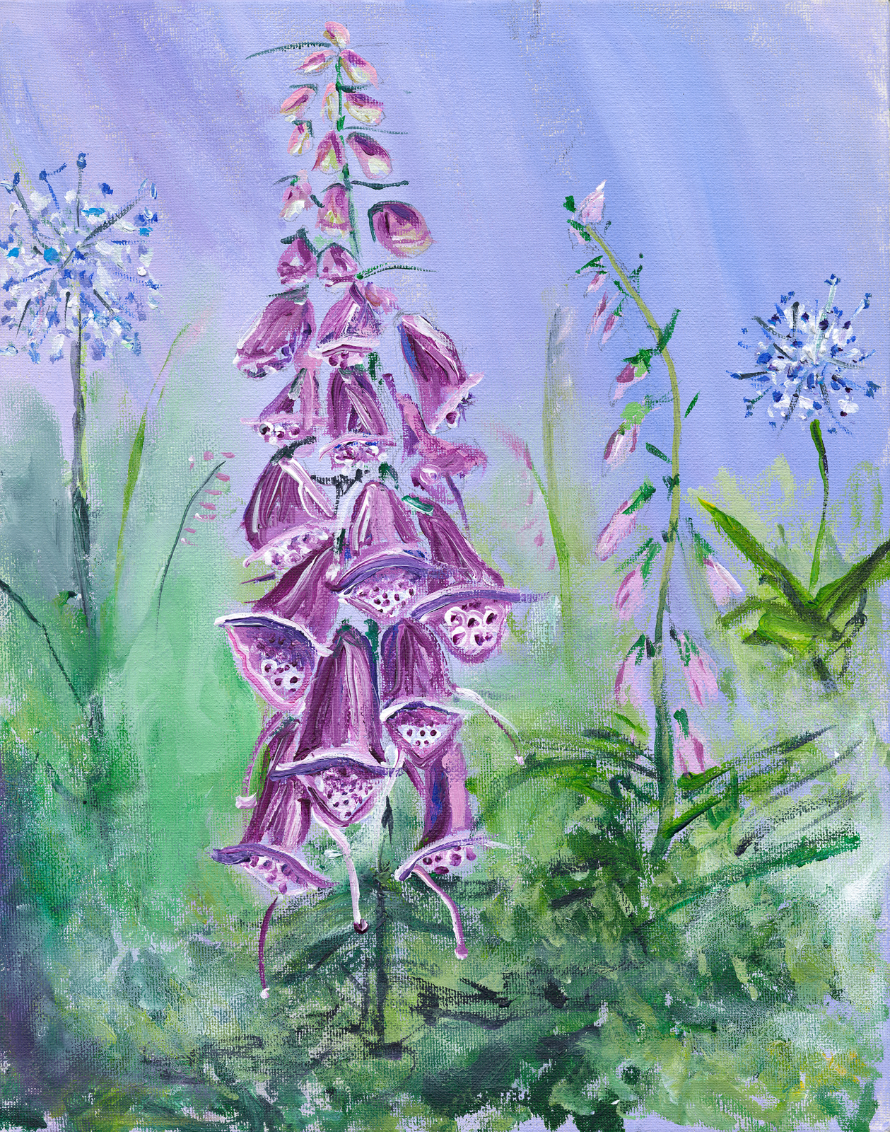 Foxglove