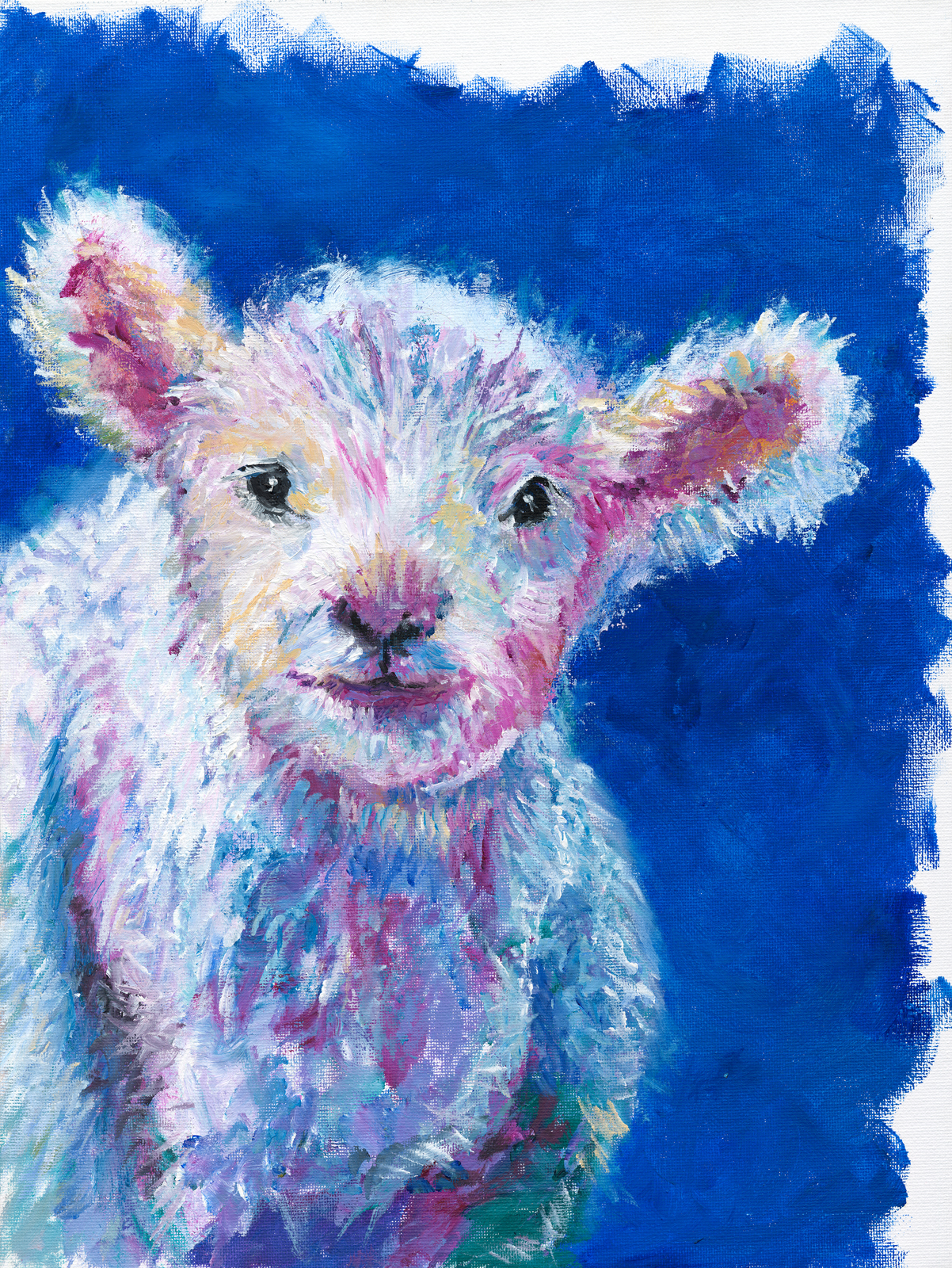 Baa Lamb