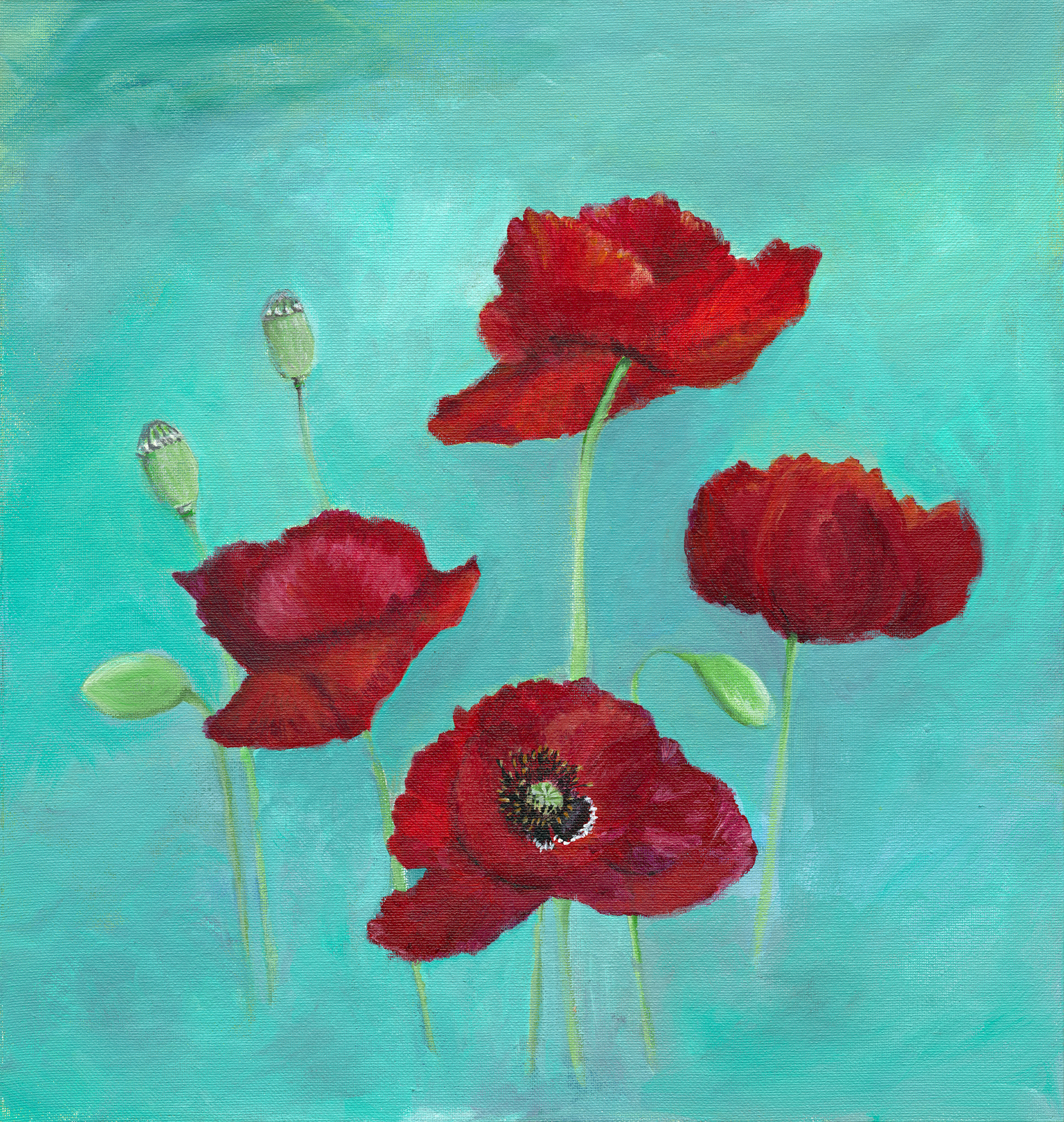 Poppies