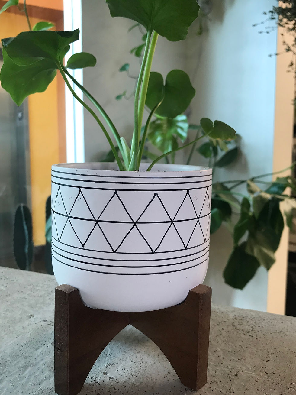 Tribal Planter