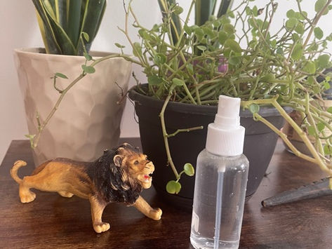 DIY Winter Mood Mist