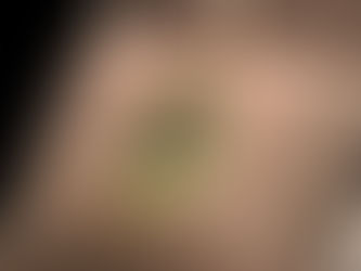 The Suarez Myth: Chapter 8